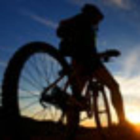 La Bottega Della Pizza